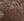 N2_MEDIUM BROWN