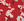 B6_DARK RED MIX