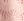 FD_ROSE PINK