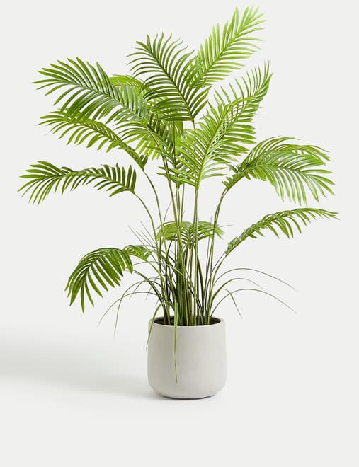 product-main-image