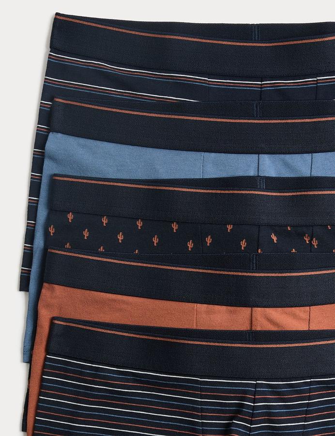 5 Pack Cotton Stretch Cactus Print Hipsters