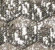 XX_SILVER