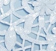 Q1_BLUE TINT