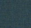 DARK EVERGREEN