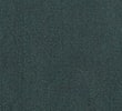 DARK EVERGREEN