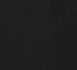 Y0_BLACK