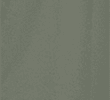 SMOKEY GREEN