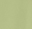 XW_FERN GREEN