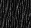 Y0_BLACK