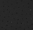 Y0_BLACK