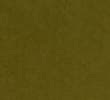 VB_BRIGHT SAGE