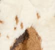 BROWN MIX