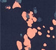 BRIGHT CORAL