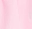 CARNATION