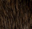 BROWN MIX
