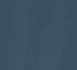 F0_NAVY
