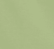 XW_FERN GREEN