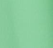 E9_LEAF