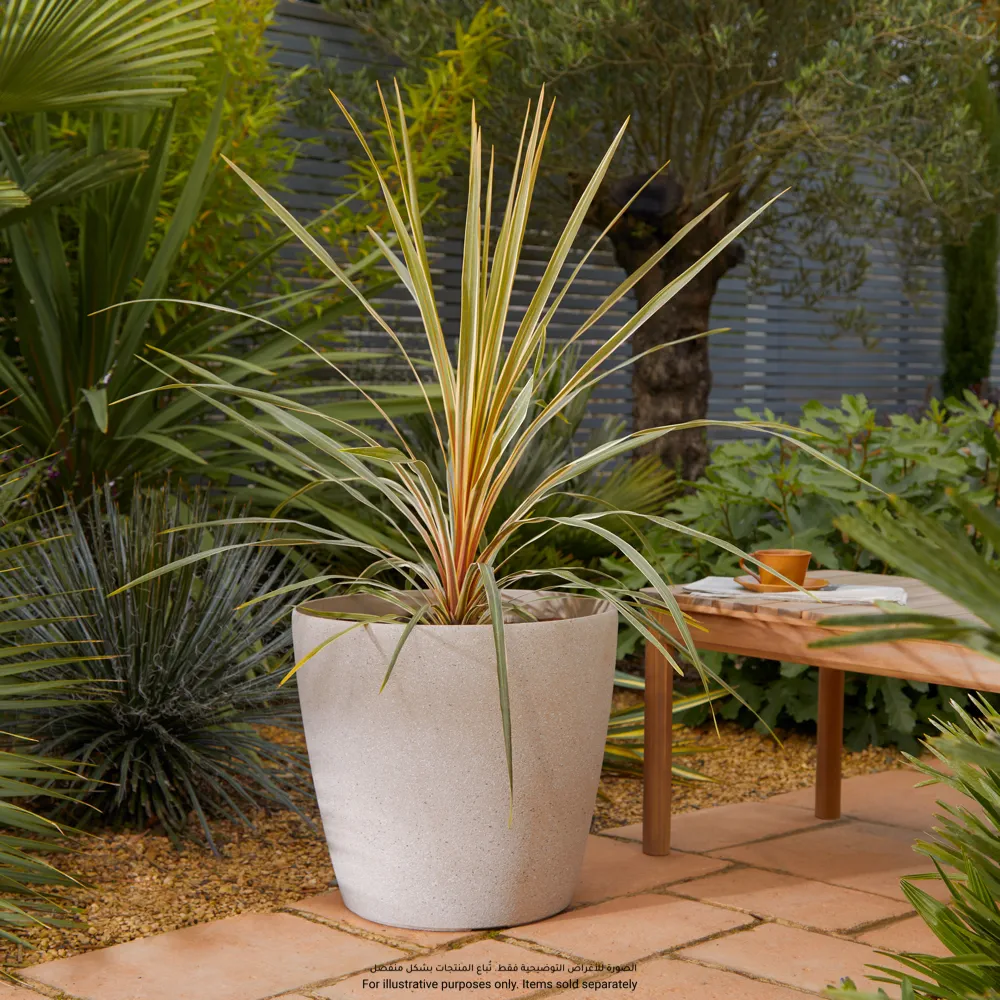 Verve Rough Finish Oval Plastic Pot (43 cm, Beige)