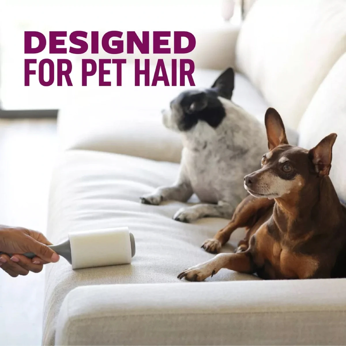Scotch-Brite Pet Hair Pick Up Twin Pack (100 Sheet)