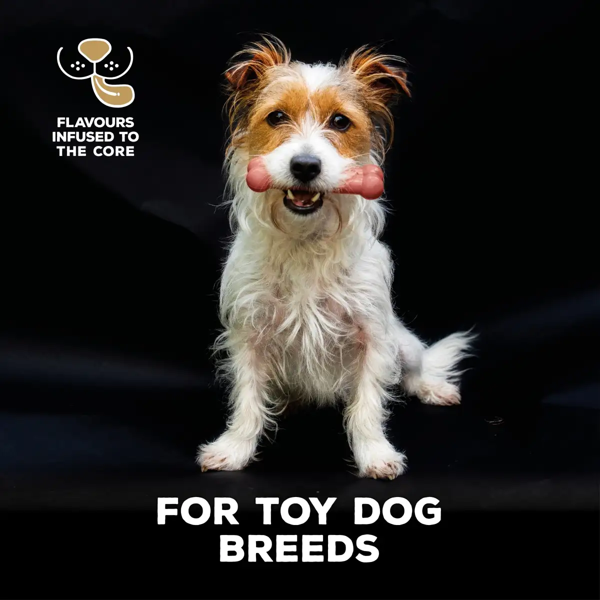 TastyBone Nylon Knotted Dog Toy with Bacon Flavor