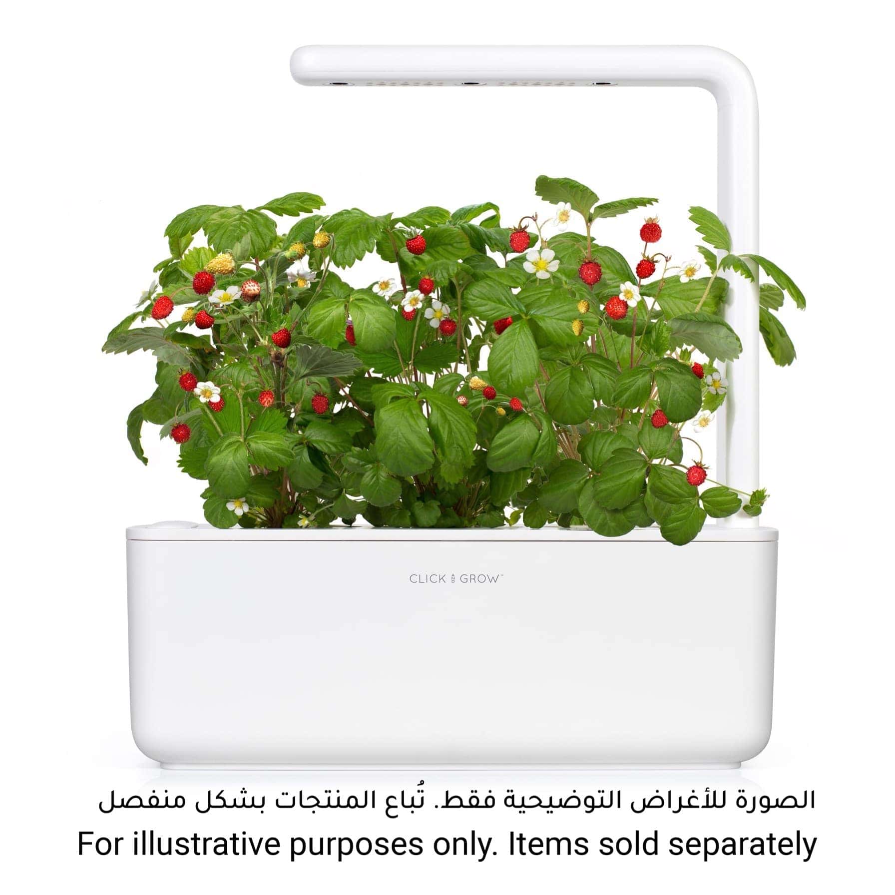 Click & Grow Indoor Smart Garden (23 x 32 x 13 cm)