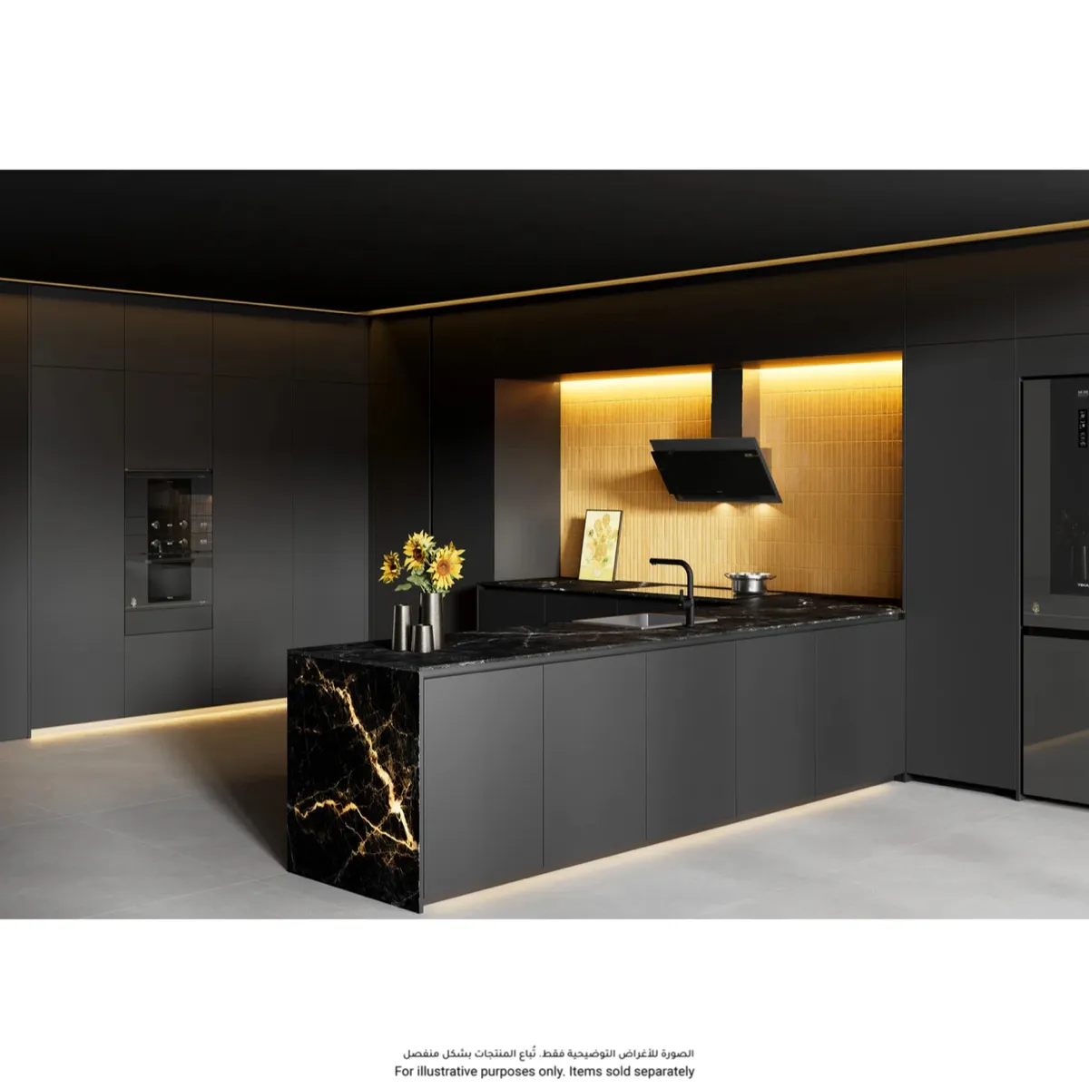 Teka Van Gogh Museum Edition EasySteam Oven W/9 Cooking Functions & HydroClean System, HLB 84 VG (71 L)