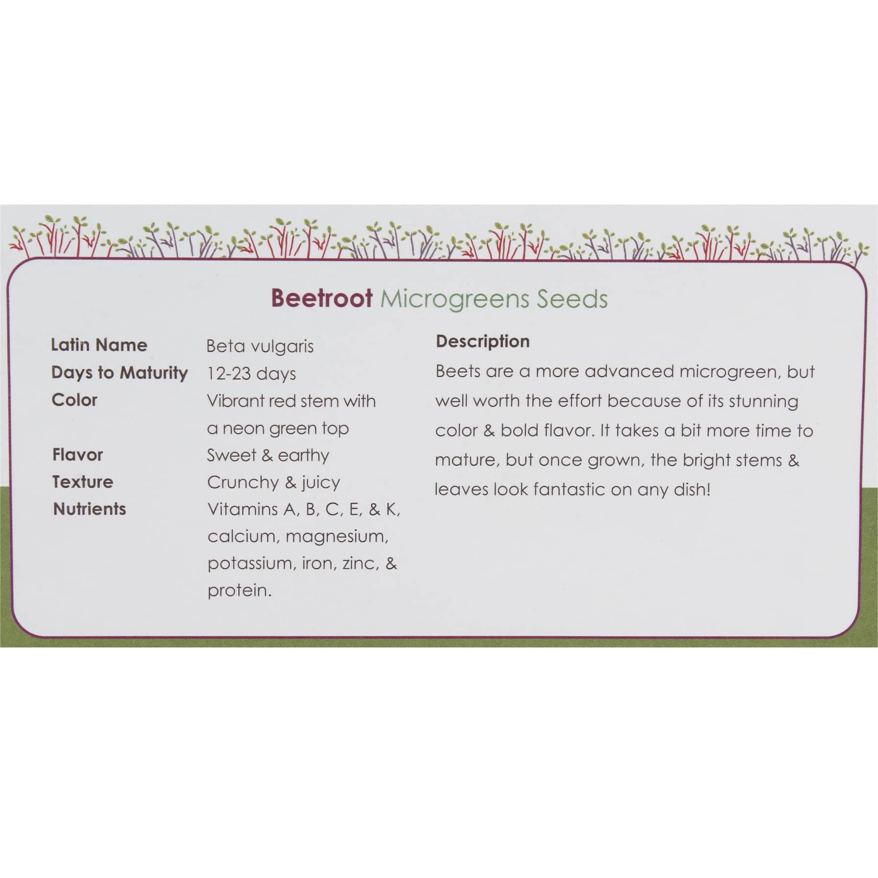 Growhub Microgreen Beetroot Seeds Pack