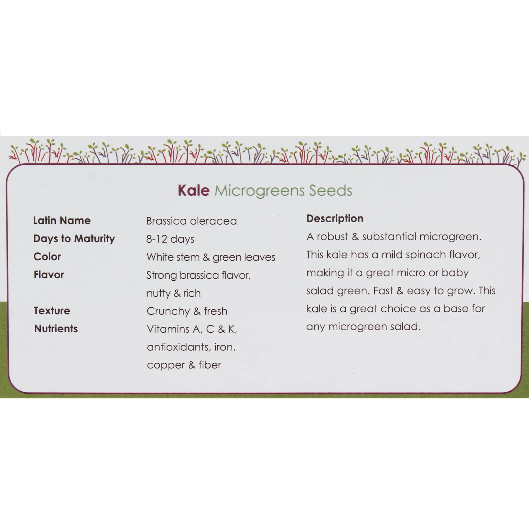 Growhub Microgreen Kale Seeds Pack