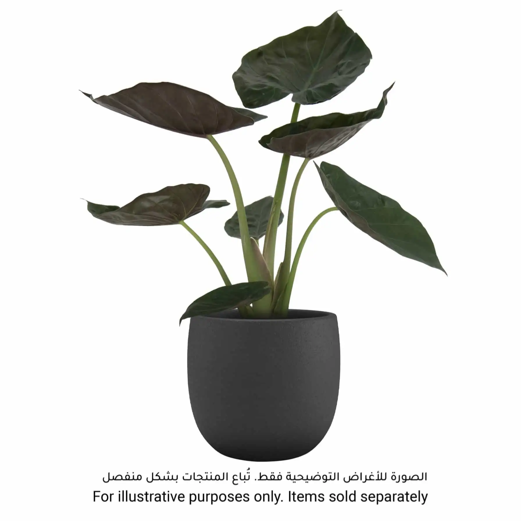 Artevasi Hemera Ceramic Pot (20 cm, Anthracite)