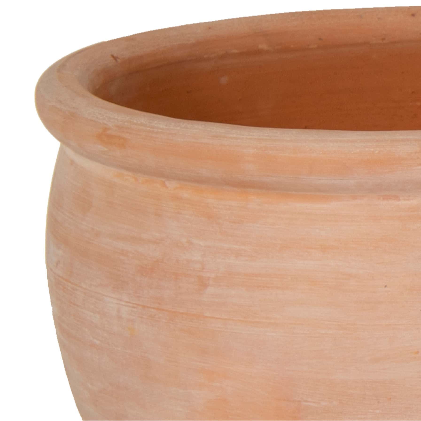 Glazed Terracotta Whitewash Belly Rim Plant Pot Generic (24 x 24 x 20 cm, Small)