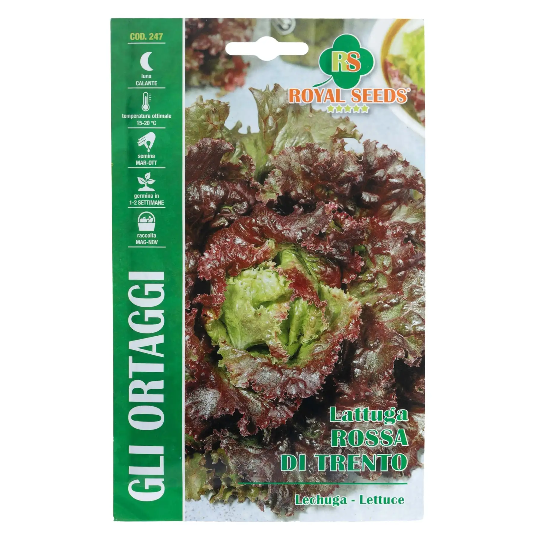Royal Seeds Rossa Di Trento Lettuce Seed Pack (7 g)