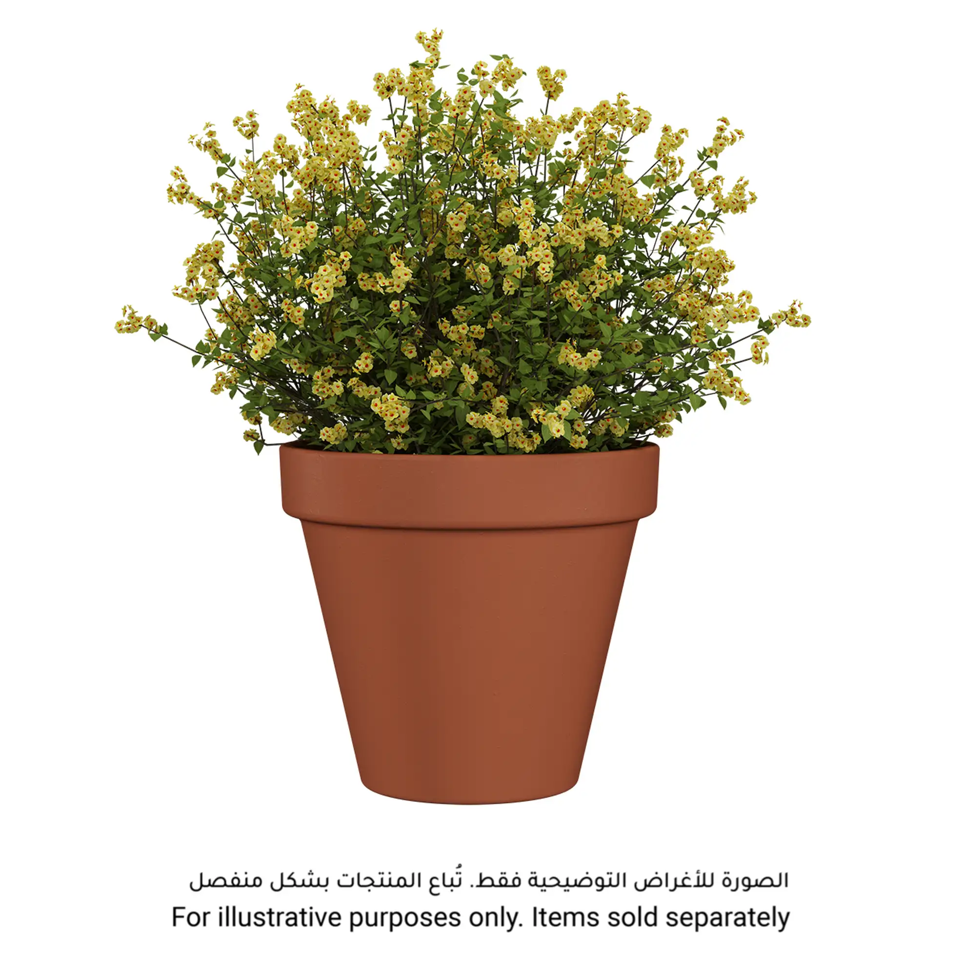 أصيص نباتات أرتيفاسي أماليا (25 × 22.6 سم، تيراكوتا)