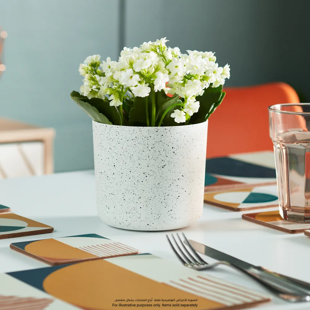 Verve Cylinder Plastic Pot (20.5 cm, White)
