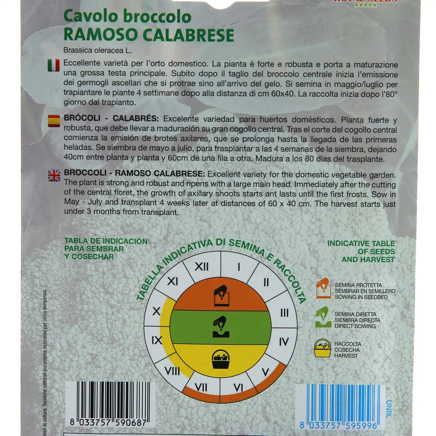 Royal Seeds Broccoli Seed Pack (8 g)