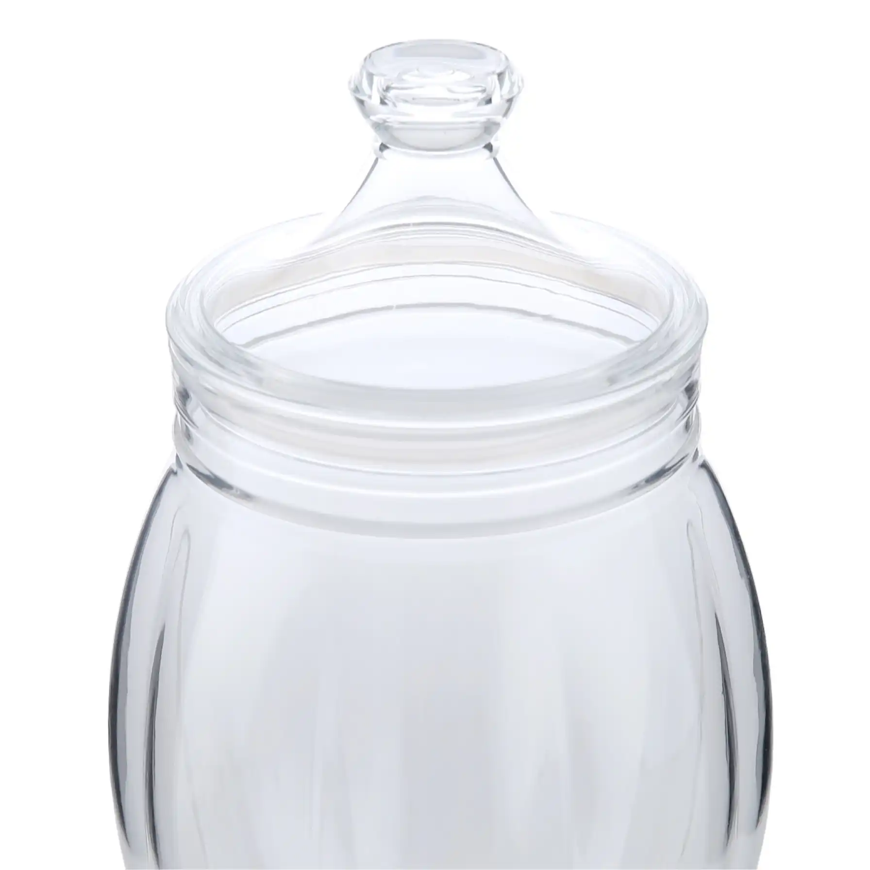 Orchid Acrylic Canister (17.5 x 17.5 x 31 cm, Clear)