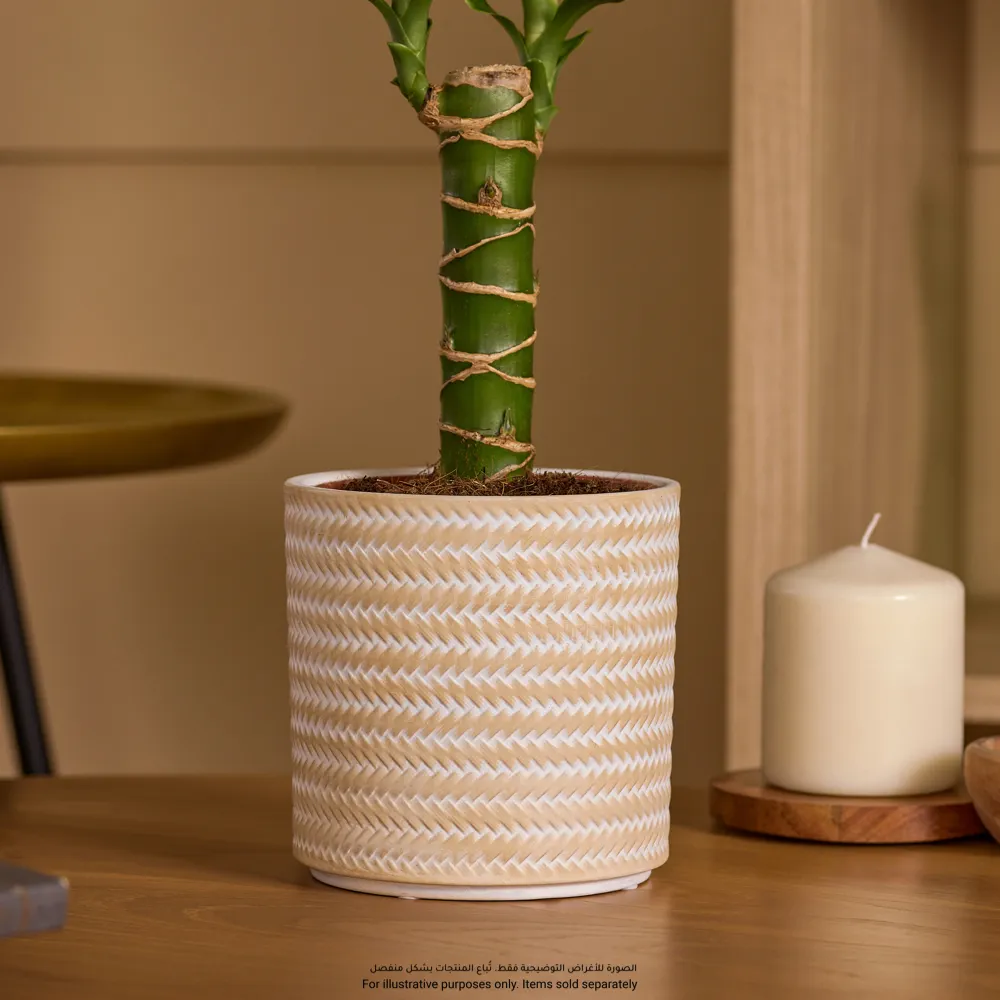 Verve Rattan Finish Cylinder Ceramic Pot (14.5 cm, Beige)