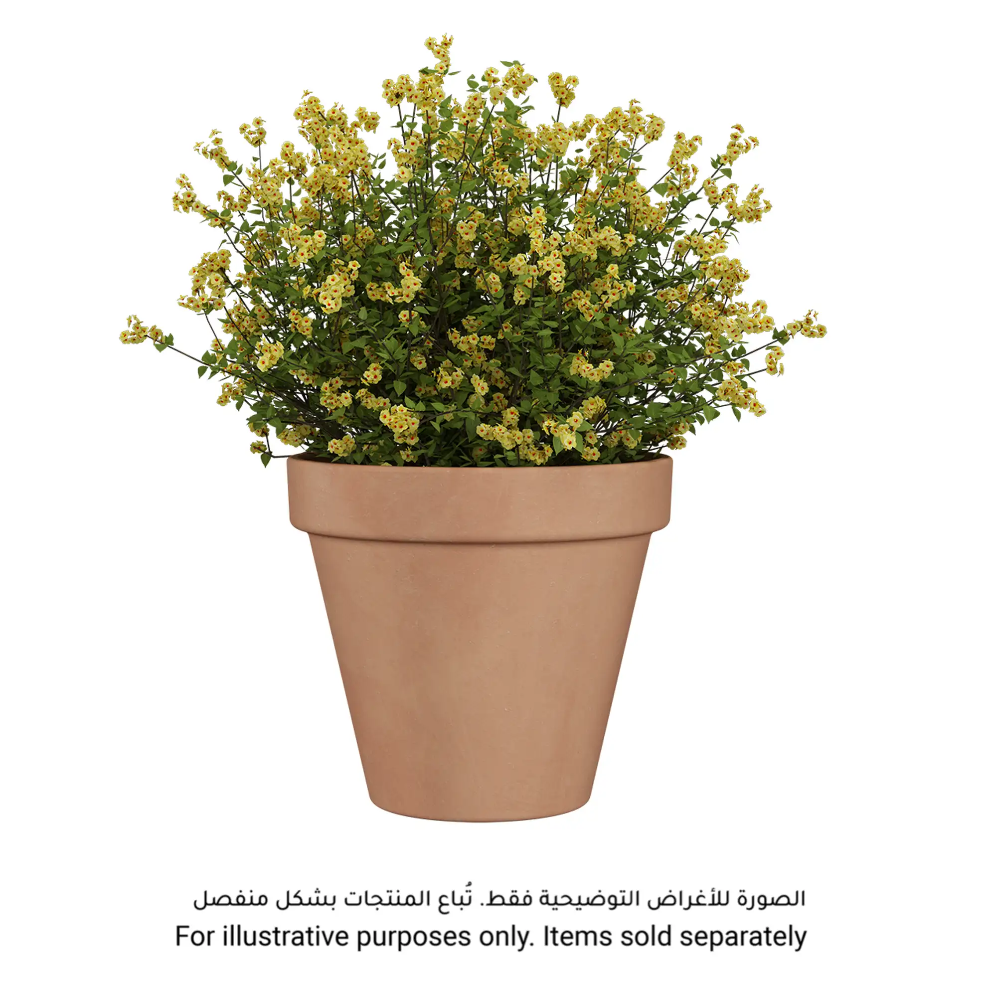 Artevasi Amalia Plant Pot (31 x 27 cm, Antique)