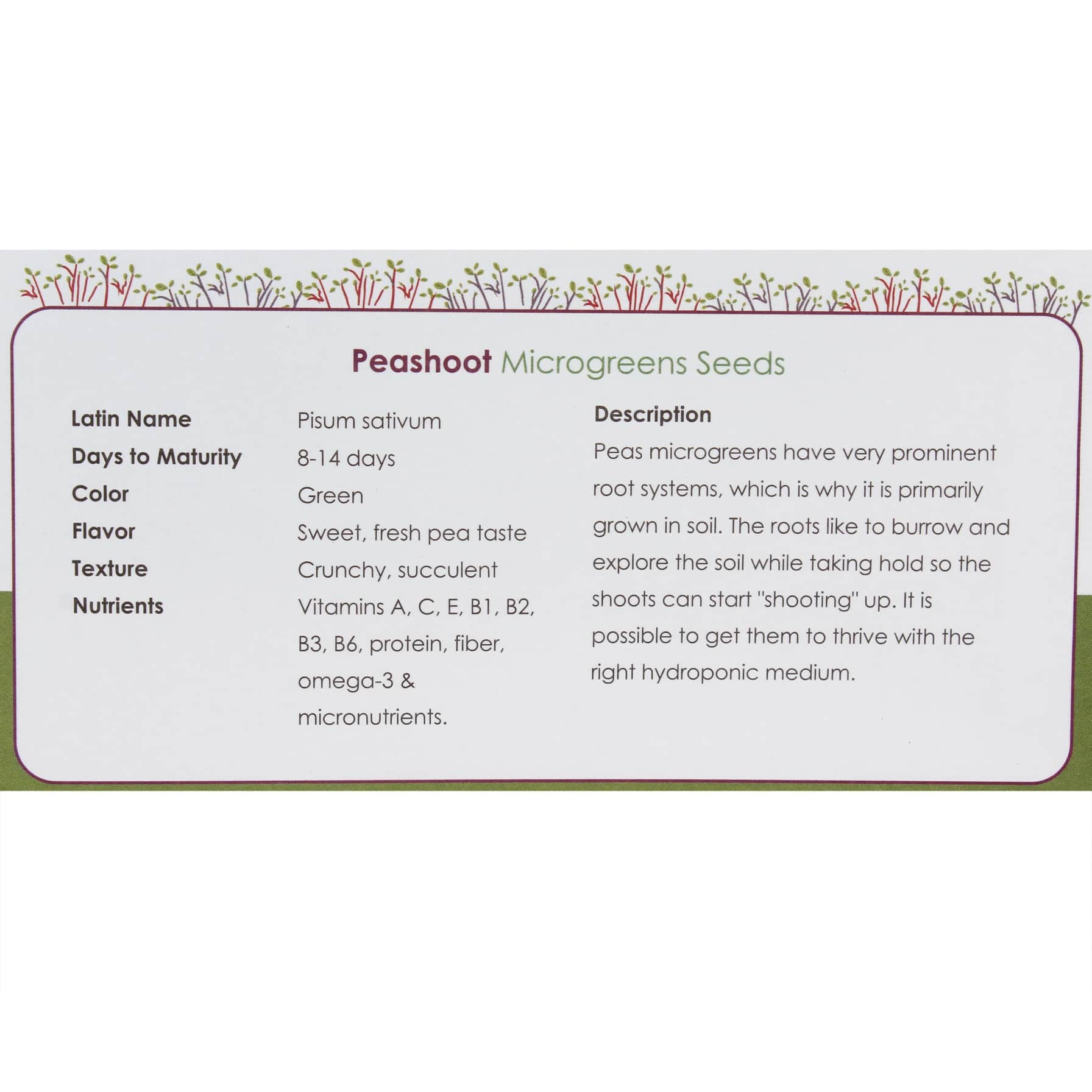 Growhub Microgreen Pea Shoot Seeds Pack
