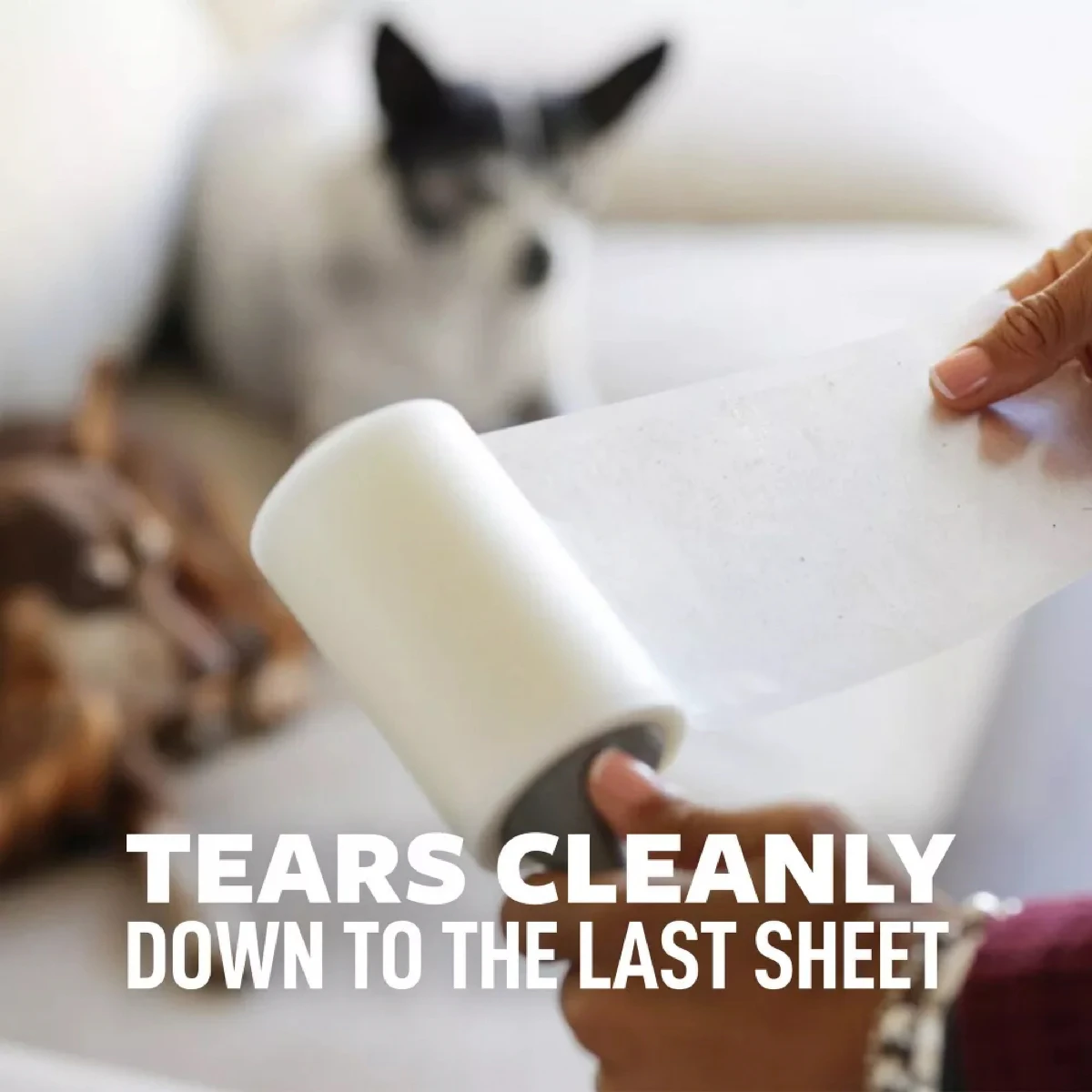 Scotch-Brite Pet Hair Pick Up Twin Pack (100 Sheet)