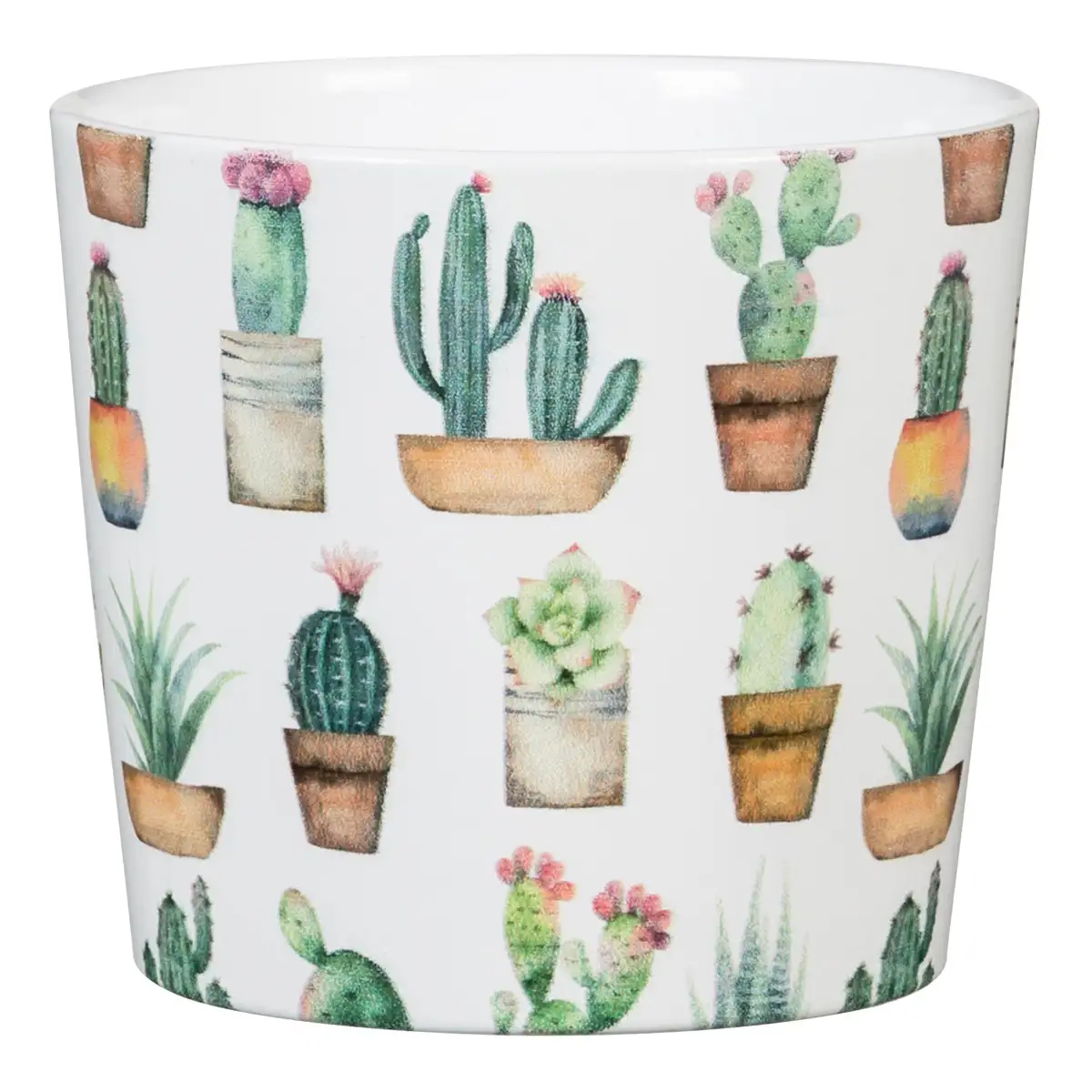 Scheurich Plant Pot (Cactus Garden, 7 cm)