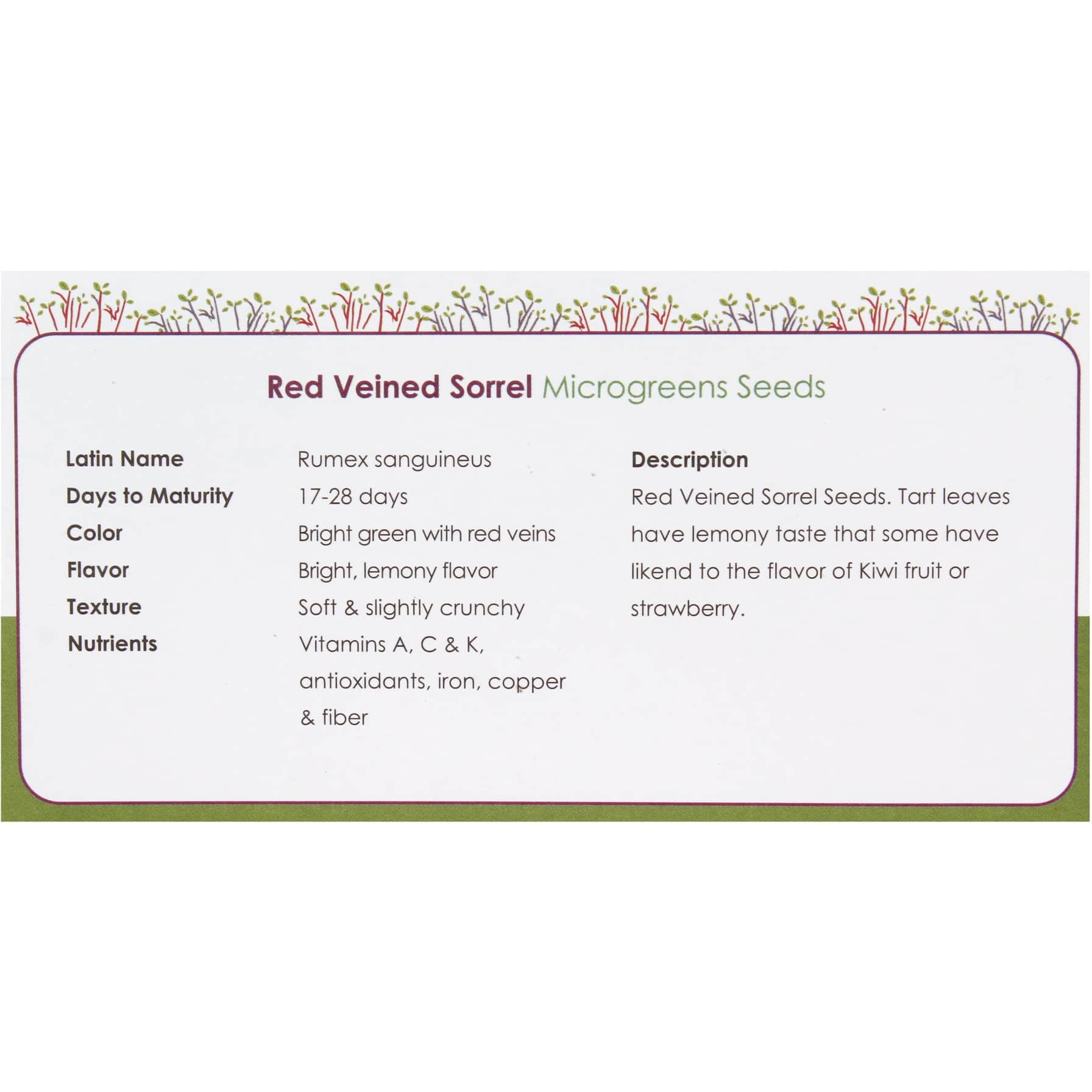 Growhub Microgreen Red Veined Sorrel Seeds Pack 