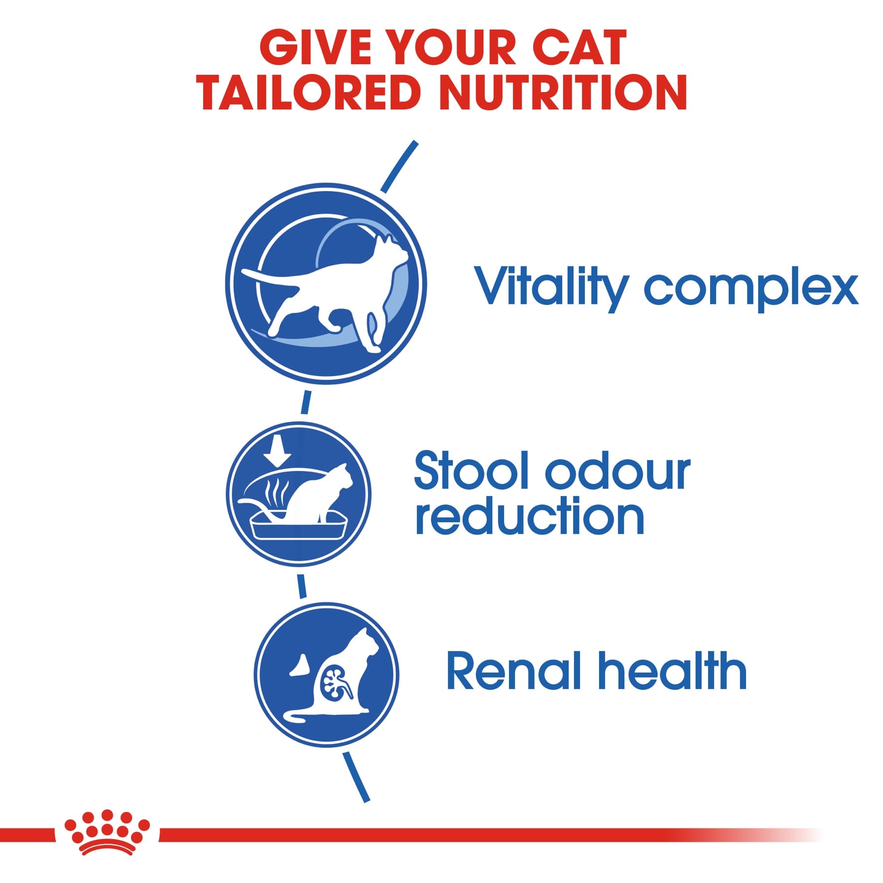 Royal Canin Feline Health Nutrition Indoor Dry Cat Food (Adult Cats, 3.5 kg)