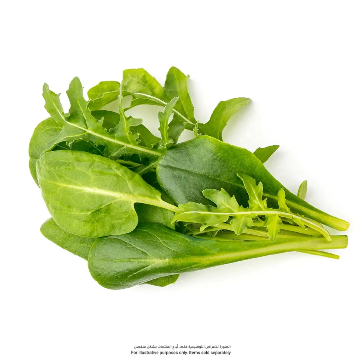 Click & Grow Salad Greens Mix (9 Pc.)