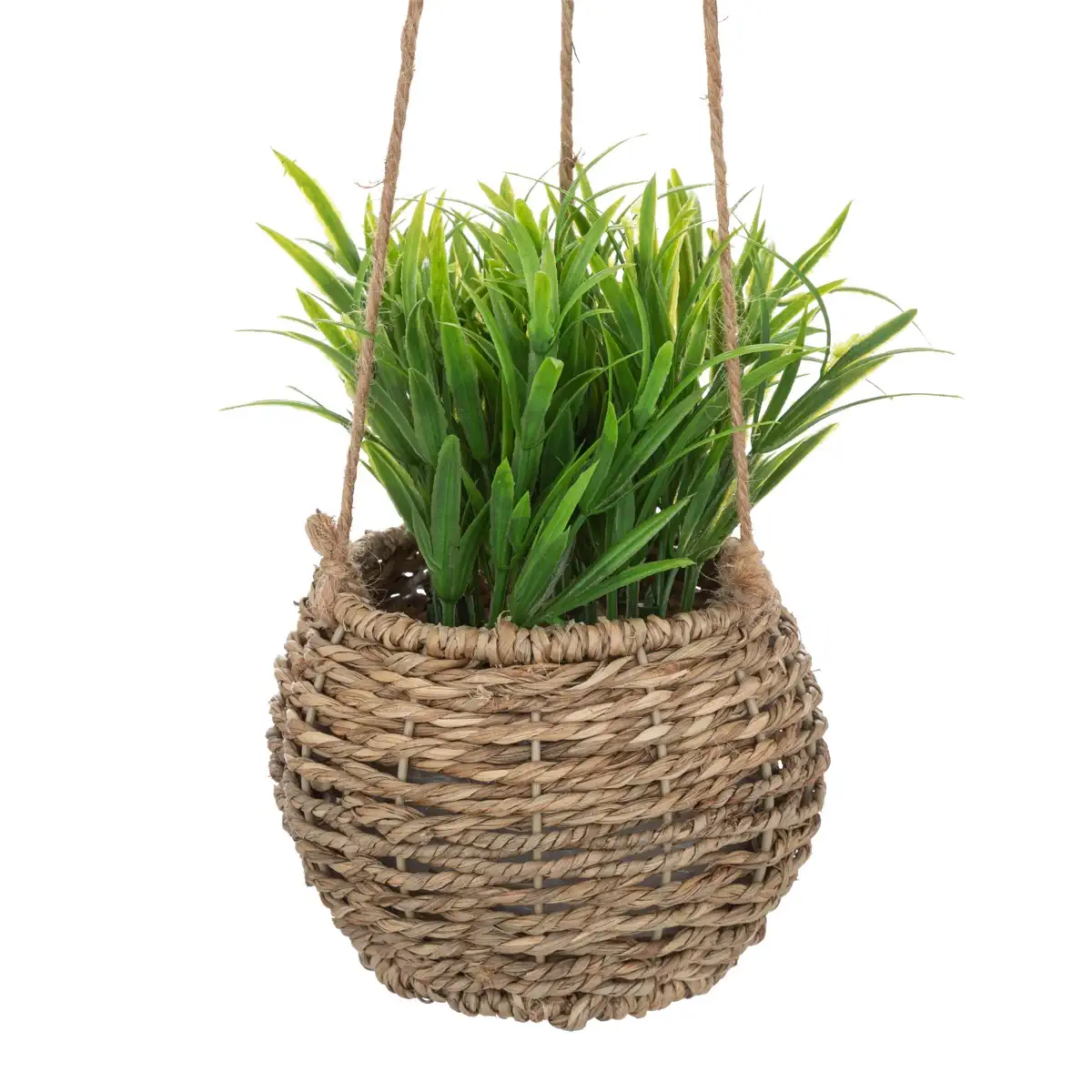Atmosphera Hanging Plant with Natural Pot (Assorted Designs, H. 17 cm)