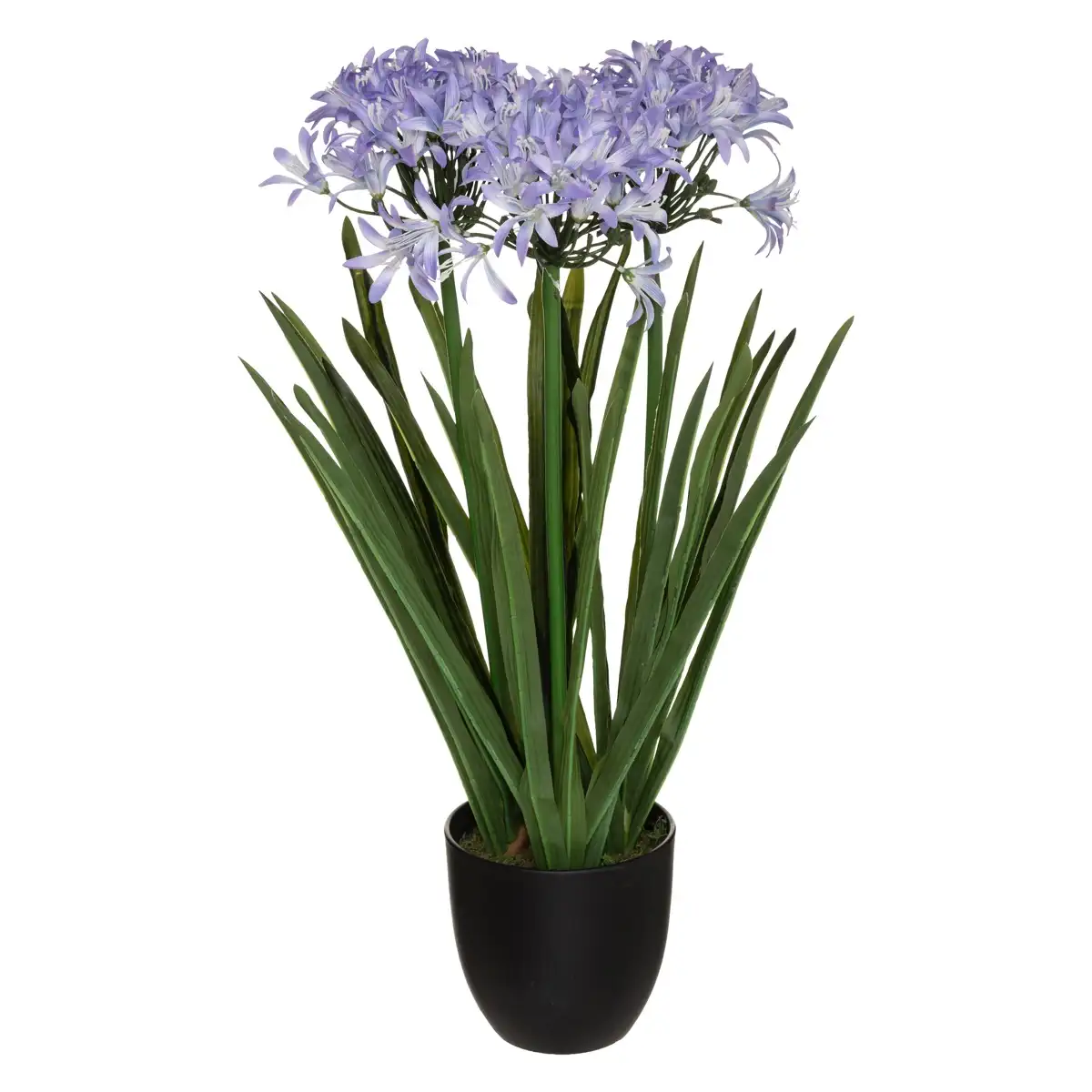 Atmosphera Agapanthus Artificial Plant W/Pot (61 x 61 x 68 cm, 2 Pc.)