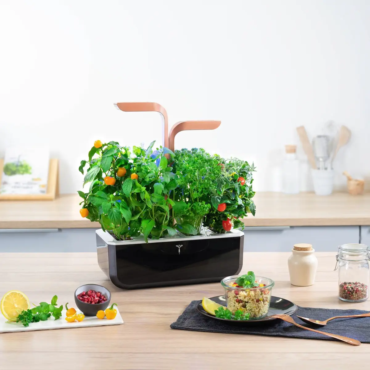 Veritable Smart Planting Kit W/ 4 Slots (Black & Copper, 1.5 Kg)