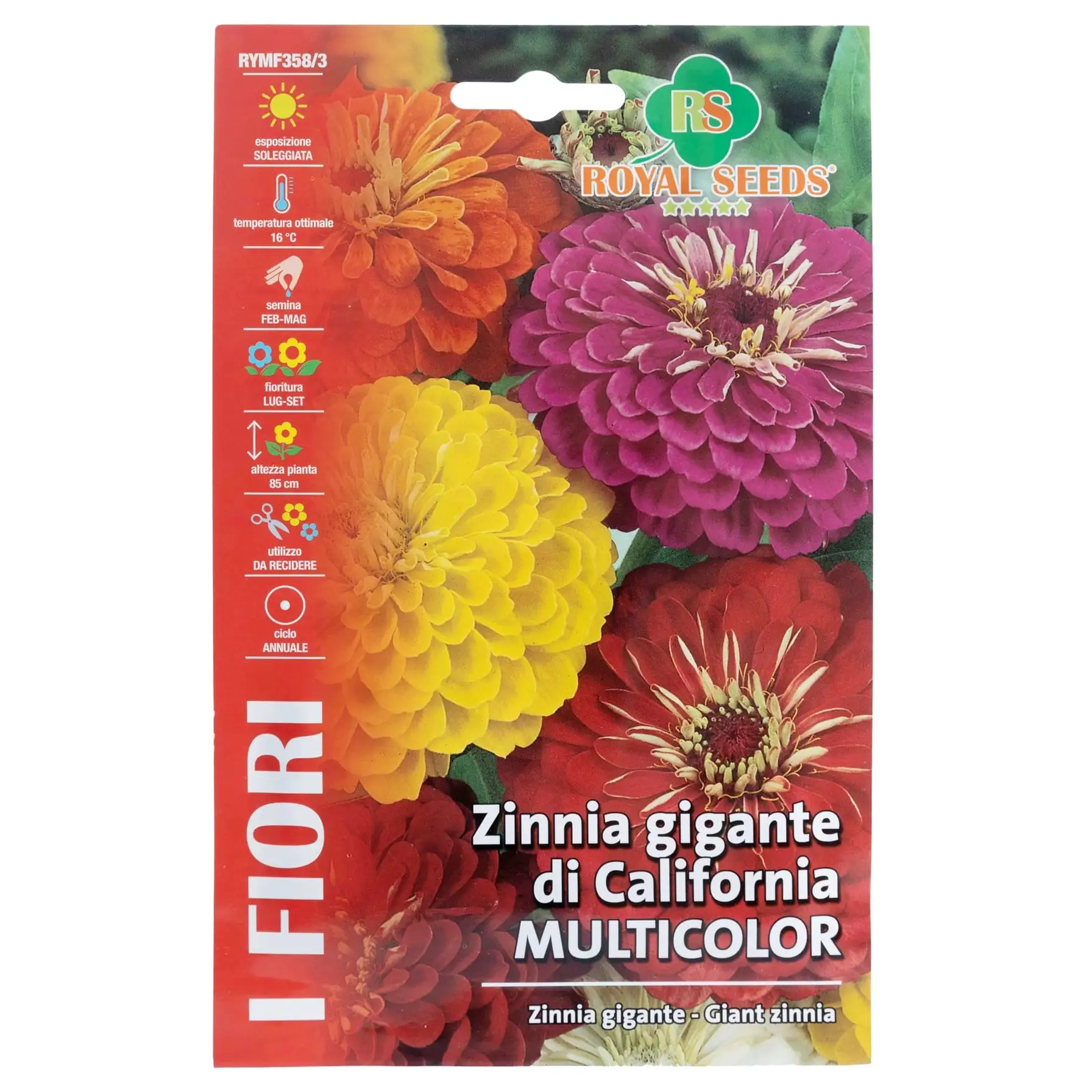 Royal Seeds Giant Multicolor Zinnia Seed Pack (2.5 g)