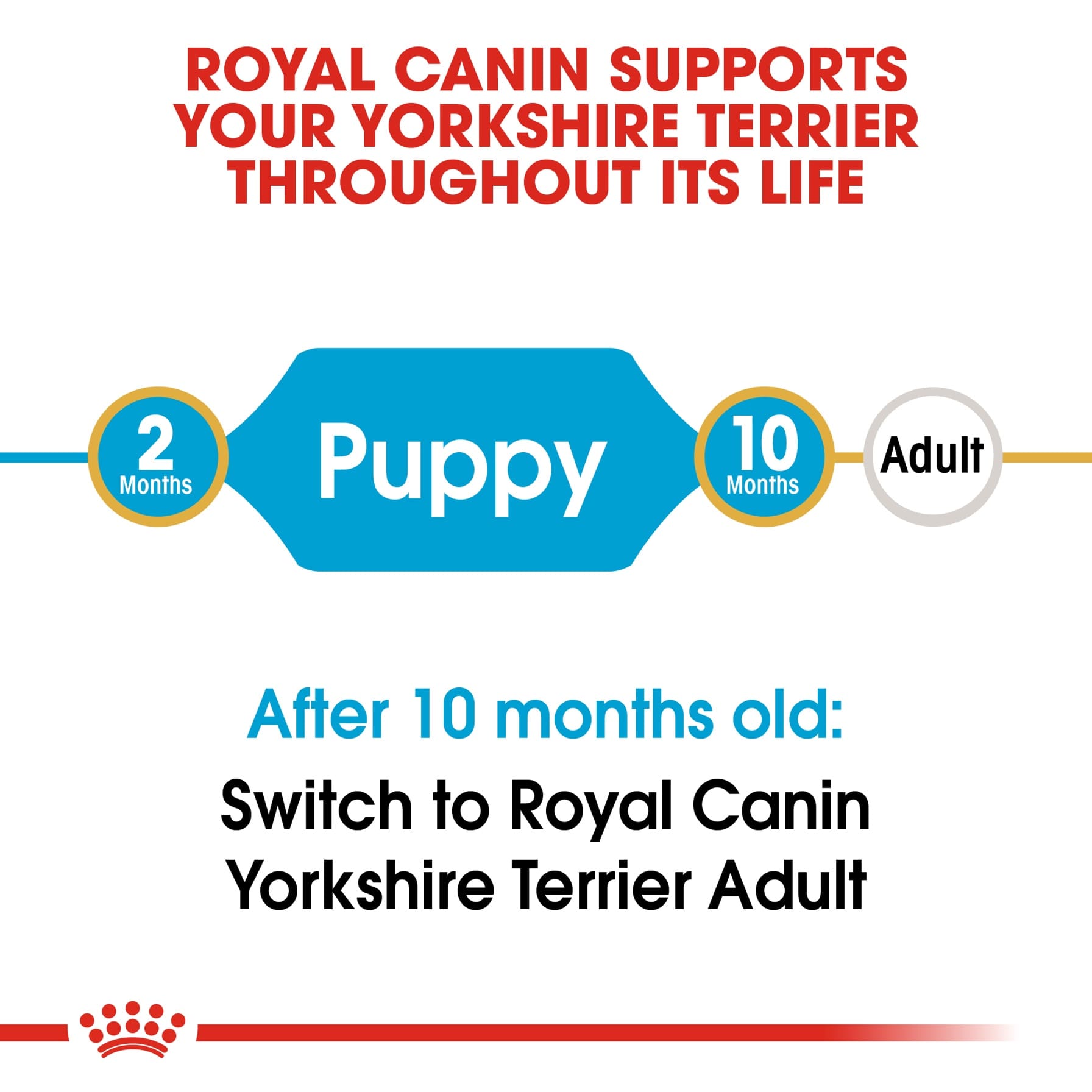 Royal Canin Yorkshire Terrier Junior Dry Dog Food (Puppy, 1.5 kg)