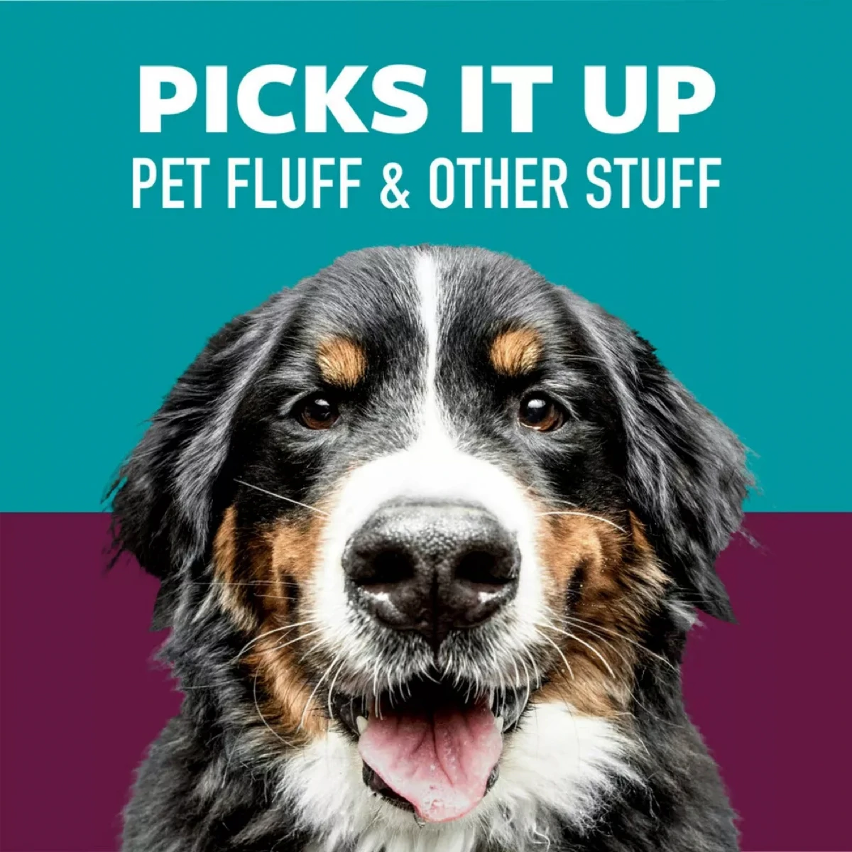 3M Scotch-Brite Pet Hair Pick Up Twin Pack (100 Sheet)